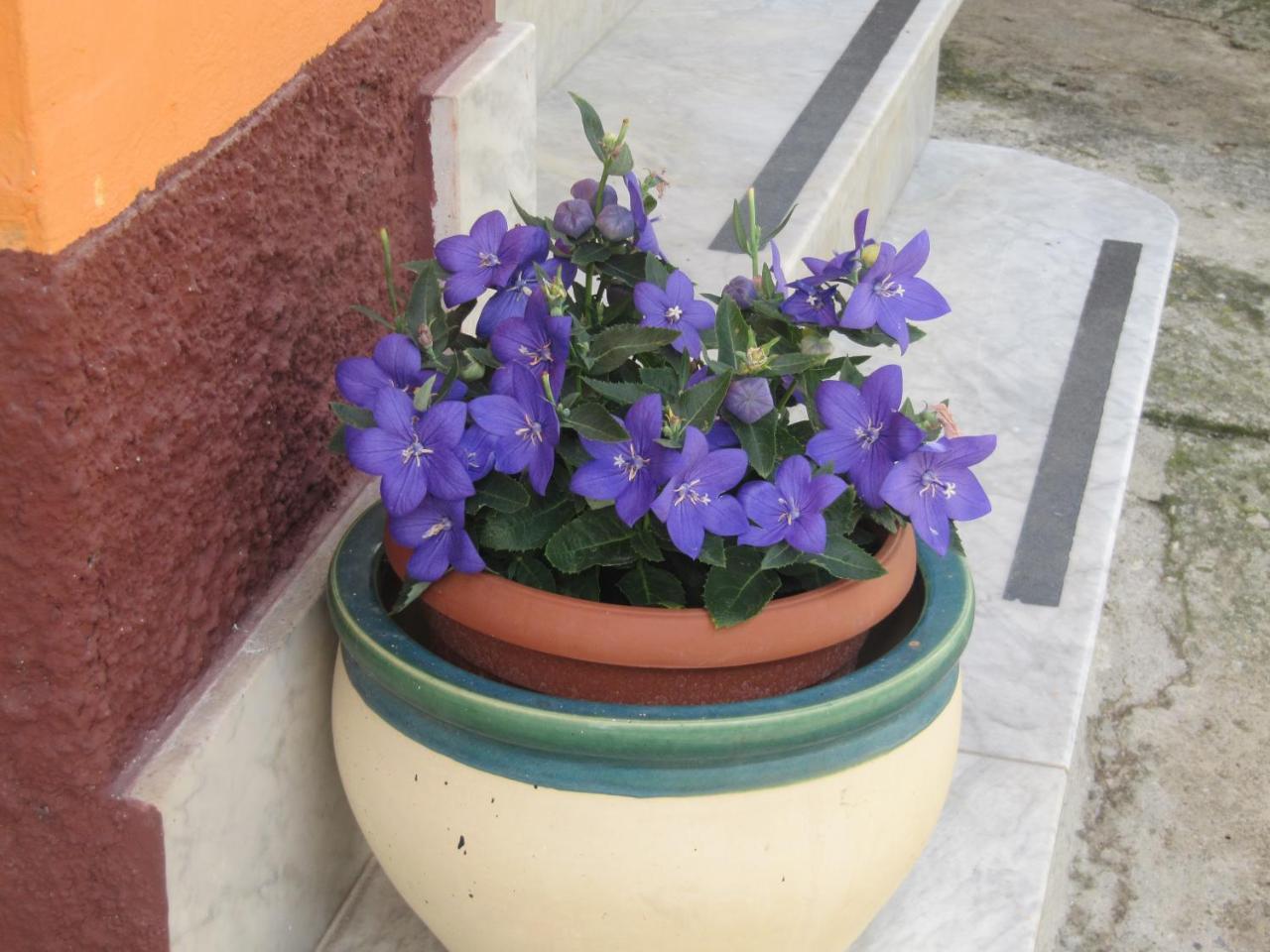 Bed and Breakfast Montagne Rocciose Frascineto Zewnętrze zdjęcie